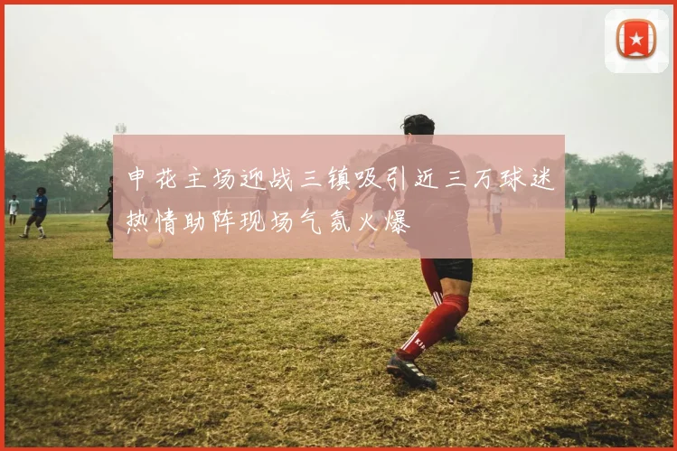 申花主场迎战三镇吸引近三万球迷热情助阵现场气氛火爆